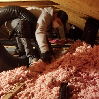 Showing man removing insulation from attic space