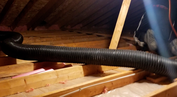 Insulation Removal